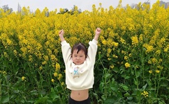 电影天堂青青青手机频